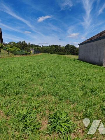 Terrain NEUVILLERS-SUR-FAVE