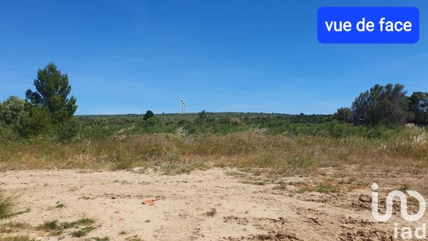 Terrain à vendre 419 m² La Palme