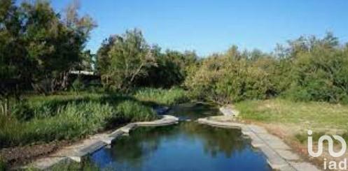 Terrain à vendre 419 m² La Palme