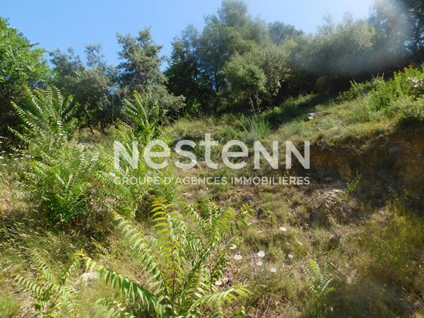 A VENDRE TARADEAU Terrain constructible de 657 m2