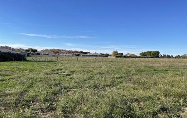 Vente Terrain Gallargues-le-montueux   