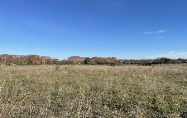 Vente Terrain Gallargues-le-montueux   