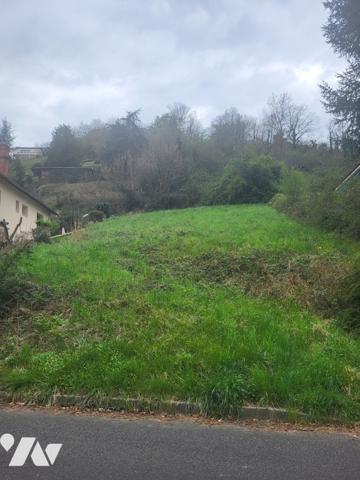 LOIRE SUR RHONE. terrain à bâtir de 811 m² + 814 m²
