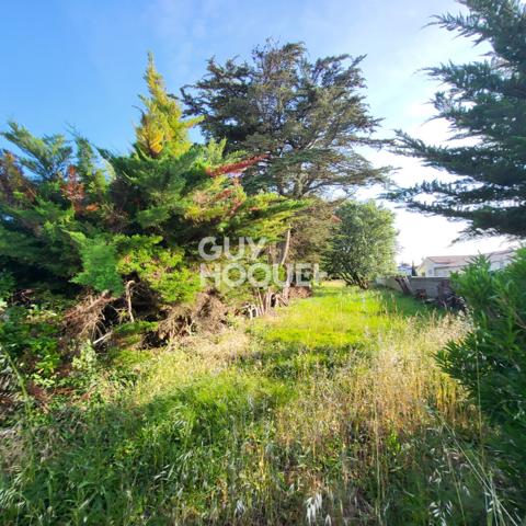 Terrain à vendre de 750 m²