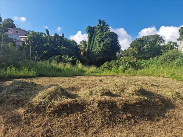 Terrain-Schoelcher-Terreville