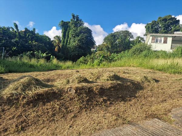 Terrain-Schoelcher-Terreville