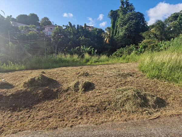 Terrain-Schoelcher-Terreville