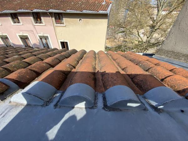 Immeuble à vendre à Vienne (38200)