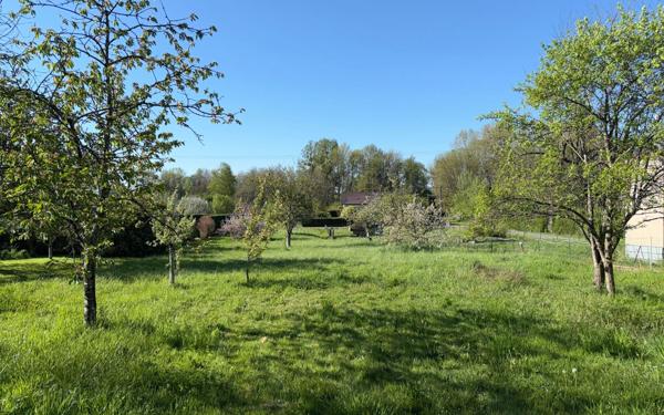 Maison à vendre    4 pièces •  Laheycourt