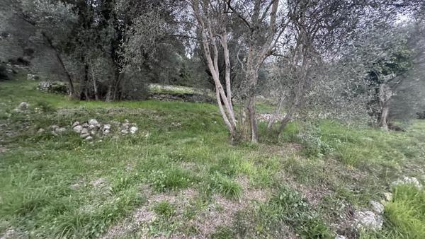 Vente / Terrain de loisirs à Grasse (06130)