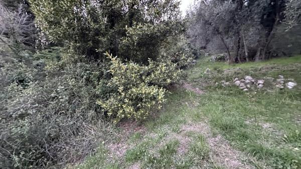 Vente / Terrain de loisirs à Grasse (06130)