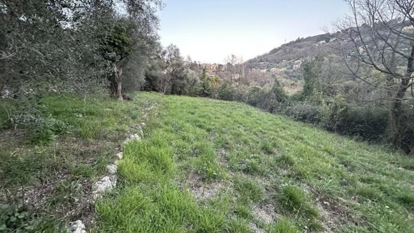 Vente / Terrain de loisirs à Grasse (06130)