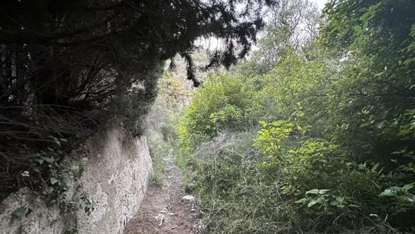 Vente / Terrain de loisirs à Grasse (06130)