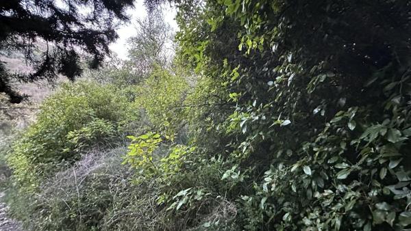 Vente / Terrain de loisirs à Grasse (06130)