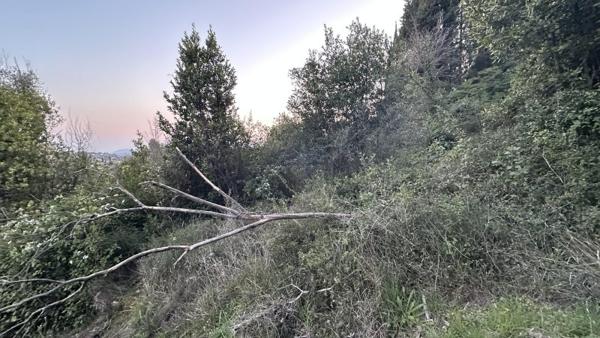 Vente / Terrain de loisirs à Grasse (06130)