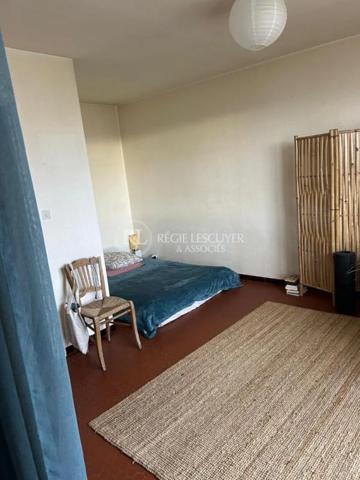 Appartement à louer à Villeurbanne (69100)