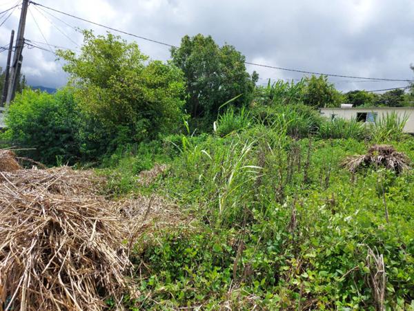 Achat vente Terrain à aménager Cilaos