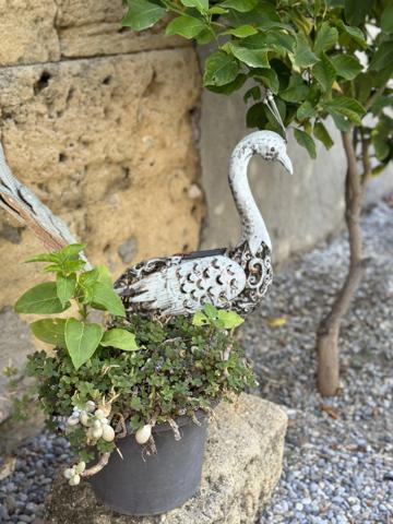 Bastide Ancien Moulin à SALON DE PROVENCE (13) 400 m² et plus de 4000m² de terrain