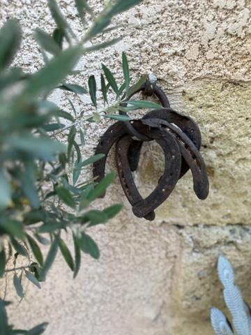 Bastide Ancien Moulin à SALON DE PROVENCE (13) 400 m² et plus de 4000m² de terrain
