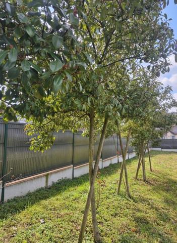 Terrain constructible de 351m², partiellement arboré. Non viabilisé