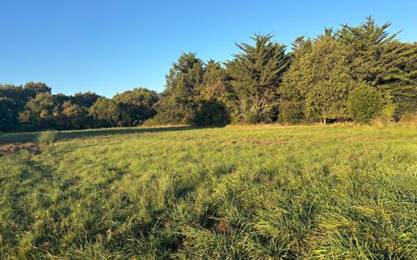 Terrain à vendre    Dolus-d'Oléron