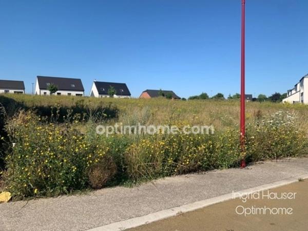 TERRAINS A VENDRE- PROVILLE (59)
