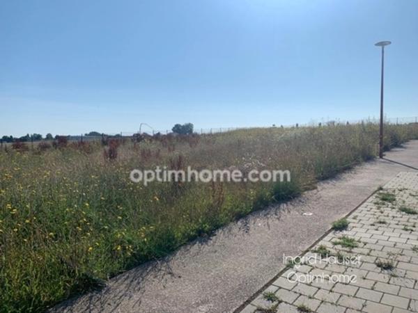 TERRAINS A VENDRE- PROVILLE (59)