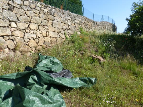 Vente / Maison de plain-pied