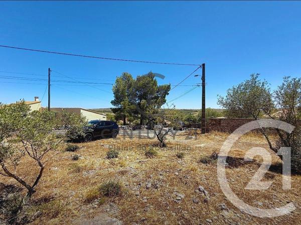 Terrain à vendre  7436 m2 OPOUL PERILLOS - 66