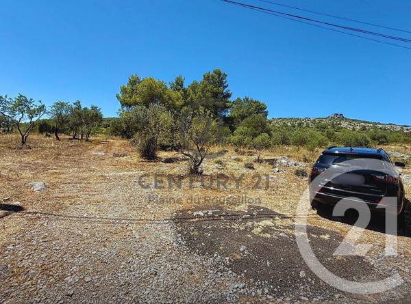 Terrain à vendre  7436 m2 OPOUL PERILLOS - 66