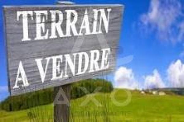 Achat vente Terrain constructible Sallèles d'Aude