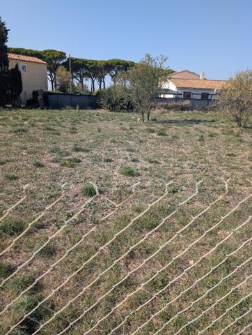 Achat vente Terrain constructible Sallèles d'Aude