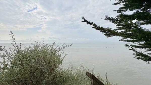 Appartement 3 pièces - 54 m²