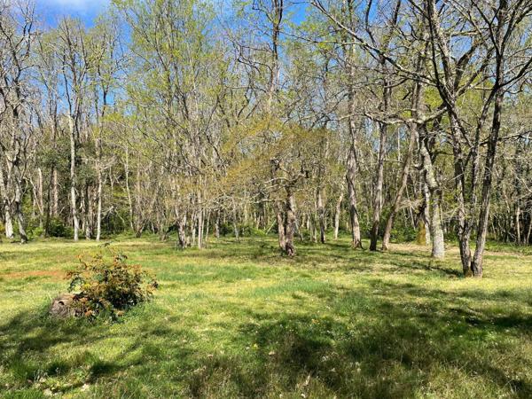 Maison Landaise au calme