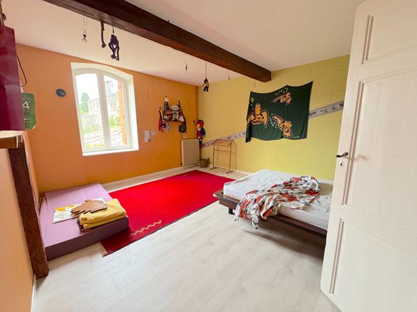 À VENDRE VERNIOLLE : MAISON DE CARACTÈRE AVEC PISCINE - 370M2 HABITABLES-GRANS JARDIN ARBORÉ