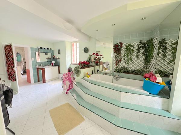 À VENDRE VERNIOLLE : MAISON DE CARACTÈRE AVEC PISCINE - 370M2 HABITABLES-GRANS JARDIN ARBORÉ