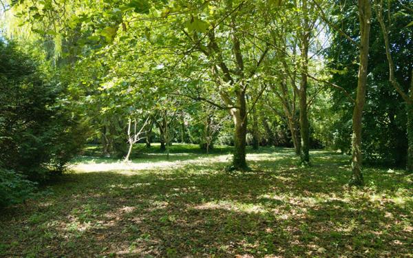 Maison à vendre    16 pièces •  Rozoy-Bellevalle