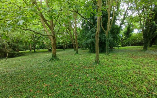 Maison à vendre    16 pièces •  Rozoy-Bellevalle