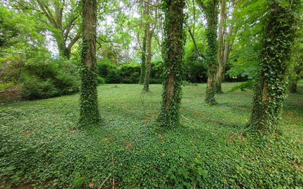 Maison à vendre    16 pièces •  Rozoy-Bellevalle