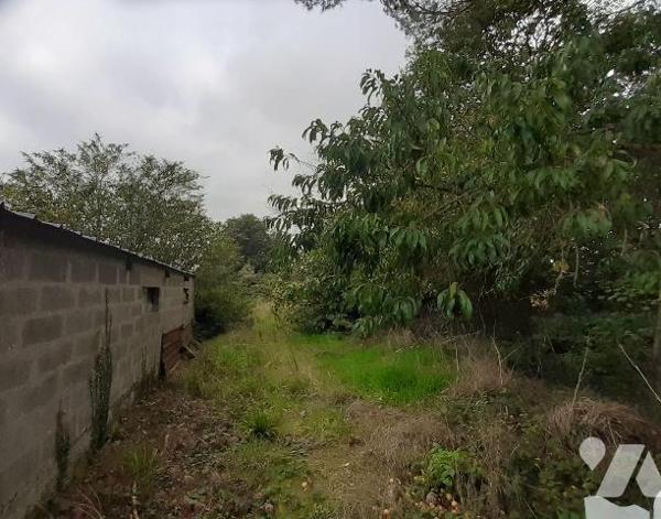 Maison à vendre à PLUMELIAU-BIEUZY (56930), Morbihan

À vendre à PLUMELIAU-BIEUZY (56930), da...