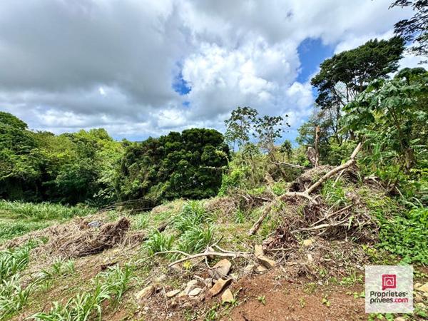 NOUVEAUTÉ - TERRAIN CONSTRUCTIBLE 3 250 M² - VUE MER - SAINTE-LUCE