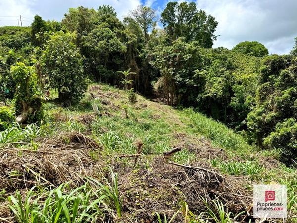 NOUVEAUTÉ - TERRAIN CONSTRUCTIBLE 3 250 M² - VUE MER - SAINTE-LUCE
