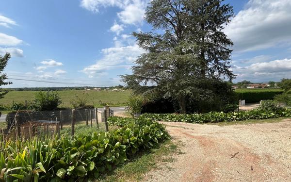 Maison à louer    4 pièces • 95 m2 Bâgé-la-Ville