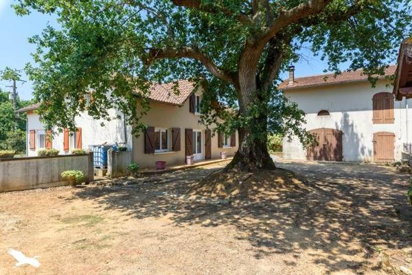 Maison à vendre 251 904 € Hauriet 7 p 130 m² DPE D