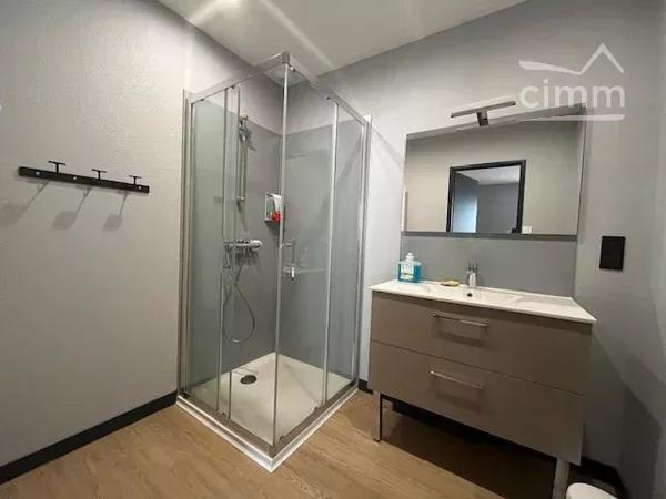 Appartement meublé à louer entièrement refait à neuf avec chambre indépendante d'une surface de 40 m².
