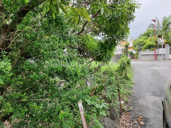 TERRAIN 340m2 plat, borné,TAMPON