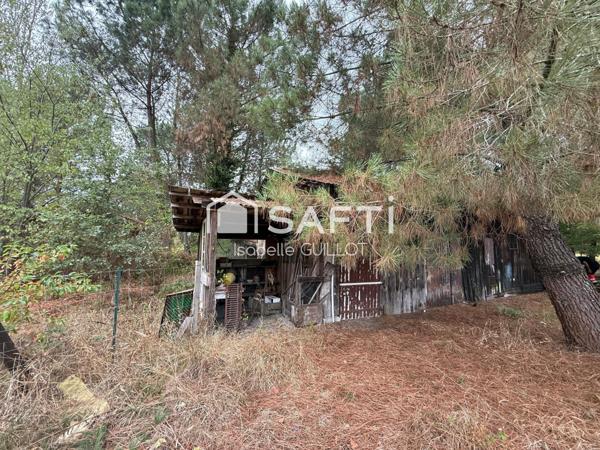 Maison avec 2 hectares de terrain