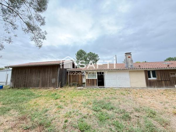 Maison avec 2 hectares de terrain