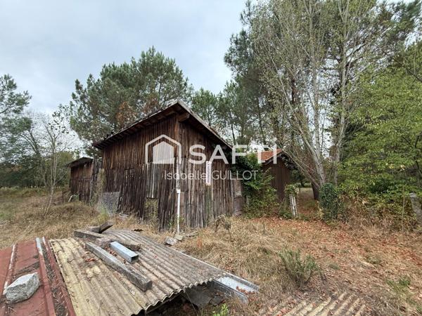 Maison avec 2 hectares de terrain