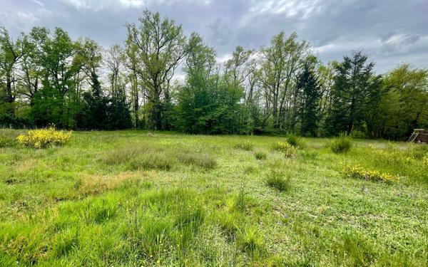 Terrain à vendre    Dampniat